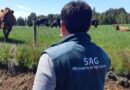 SAG Los Lagos implementa nueva modalidad para agilizar la tramitación de Subdivisiones de Predios Rústicos, desde el 15 de diciembre