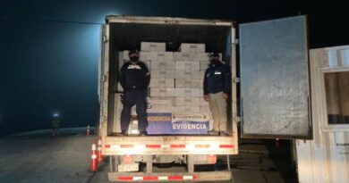 Sernapesca y Armada incautan camión con más de 10 toneladas de merluza austral