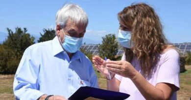 Alcaldesa de Puerto Octay pidió recursos al presidente Piñera para enfrentar pandemia
