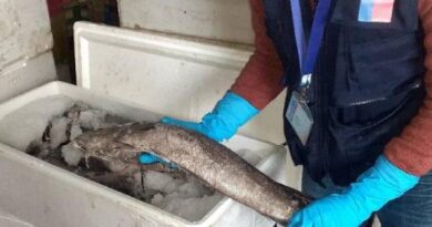 Fiscalización Sernapesca