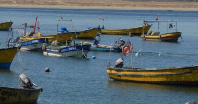 Congreso despacha a ley proyecto que permite a pescadores capturar este año remanentes de cuotas de 2020