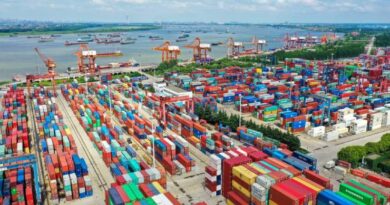En un 29% aumentaron exportaciones de Los Lagos a Japón el primer trimestre