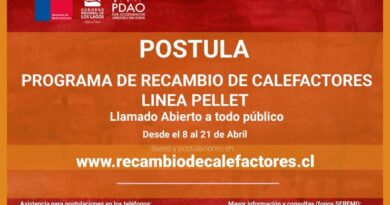RECAMBIO CALEFACTORES LINEA BAJA POTENCIA