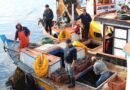 Se extiende plazo para que pescadores artesanales postulen a integrar el directorio de Fundación Chinquihue