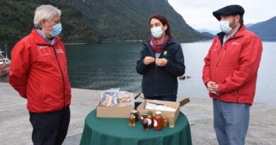 Exhibición productos típicos patagonia verde
