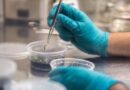 Invitan a emprendimientos científico-tecnológico de la macrozona sur a participar en nueva versión de Startup Ciencia.