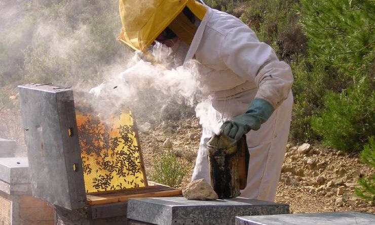 Mesa Apícola Regional llama a proteger producción de miel en la zona