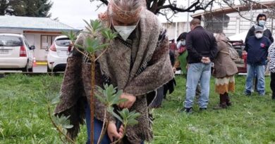 Plantan Árboles Nativos en espacio Simbólico Mapuche del HBSJO