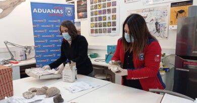 Entrega fosiles Aduana Osorno