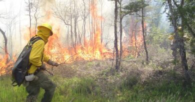 Combate incendios forestales CONAF.