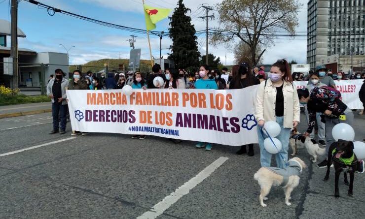 Marcha Animalistas Puerto Montt