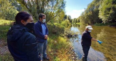 Consejo Regional da luz verde a estudio para Norma Secundaria de Calidad Ambiental para la cuenca del Río Rahue