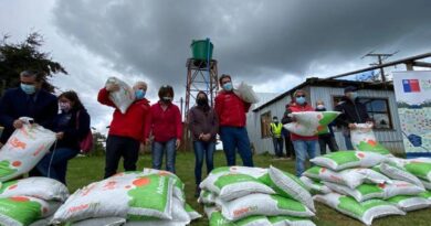 Ministerio de Agricultura entregó en Osorno más de 42 toneladas de alimento animal para enfrentar la escasez hídrica.