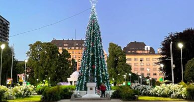 Municipio instaló árbol de navidad en Plaza de Armas.