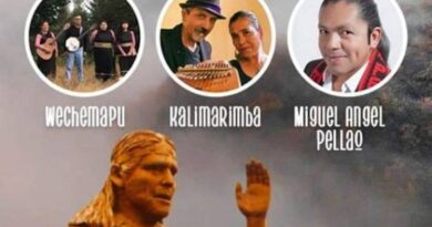 Este sábado tendrá lugar la VIII versión del Festival de Pueblos Originarios en Maicolpue