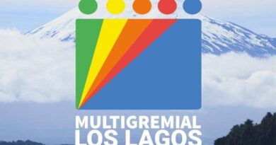 Multigremial Los Lagos condena actos de violencia en la zona