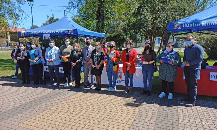Puyehue invita a estudiantes de educación superior a postular a beca municipal