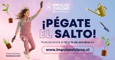 Impulso Chileno: el programa que apoyará a 250 emprendedores del país abre sus postulaciones