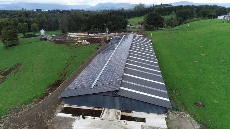Planta solar fotovoltaica permite optimizar energía para diferentes sistemas agrícolas