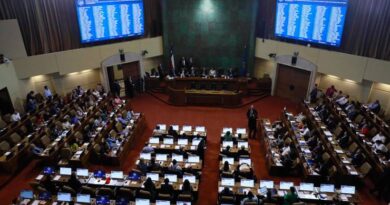 Cámara debatirá nueva prórroga del estado de excepción en la macrozona sur