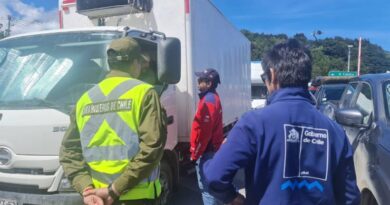 Aduana de Puerto Montt incautó cocaína, marihuana, LSD y hongos alucinógenos