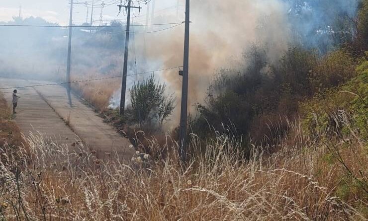 Preocupación de vecinos por riesgo de nuevos incendios en Praderas de Pilauco.