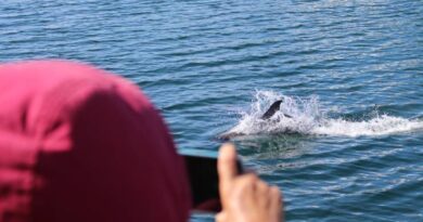 Vecinos de Queilen disfrutaron de paseo turístico marítimo gratuito