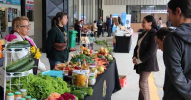 Emprendedores de la zona participan de la primera “Expo Purranque Compra Local”