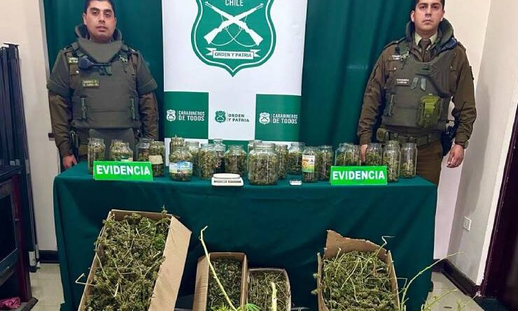 Carabineros decomisa 5 kilos de marihuana elaborada en Osorno