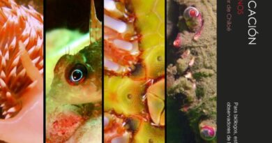 IFOP lanza nueva guía de biodiversidad asociada a la acuicultura de pequeña escala realizada por repoblación y cultivo