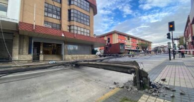 Saesa trabaja en la reposición de dos postes derribados por un camión en el centro de Osorno