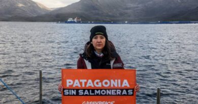 Tribunal de Valdivia deja sin efecto Resolución de Calificación Ambiental (RCA) del centro de cultivo de salmones “Leucotón”