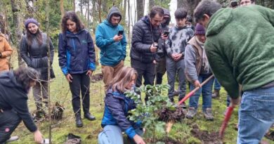 CONAF junto a Fundación Núcleo Nativo entregaron mil árboles en el Día Internacional del Árbol