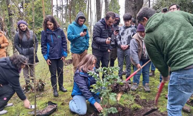 CONAF junto a Fundación Núcleo Nativo entregaron mil árboles en el Día Internacional del Árbol