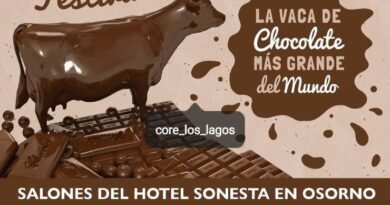 Consejera Barraza invita a participar del Festival de la Vaca de Chocolate más grande del mundo