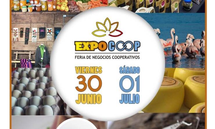 ExpoCoop 2023 Encuentro de Cooperativas se realizará en Puerto Varas