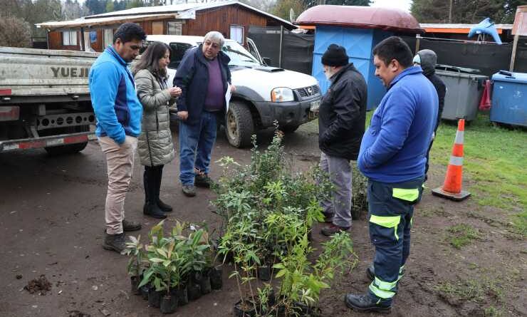 CONAF dona árboles nativos a hospitales interculturales de la provincia de Osorno