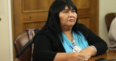 Diputada Emilia Nuyado valora fallo de la suprema que frena uso abusivo de loteos