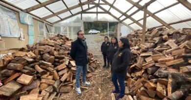 El éxito de “Newen Domo” La cooperativa de mujeres que produce y vende leña certificada en Chiloé