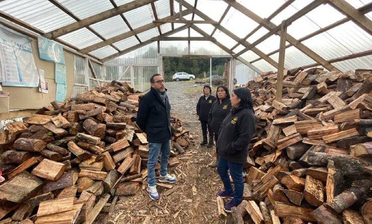 El éxito de “Newen Domo” La cooperativa de mujeres que produce y vende leña certificada en Chiloé