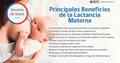 Beneficios Lactancia Materna