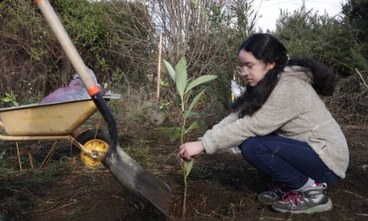 Cecinas Llanquihue dona más de 500 árboles nativos para reforestación de humedales