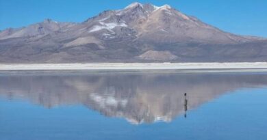 Menoko monitoreará en línea “salud” de los humedales de Chile
