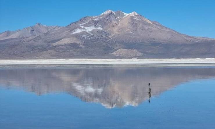 Menoko monitoreará en línea “salud” de los humedales de Chile