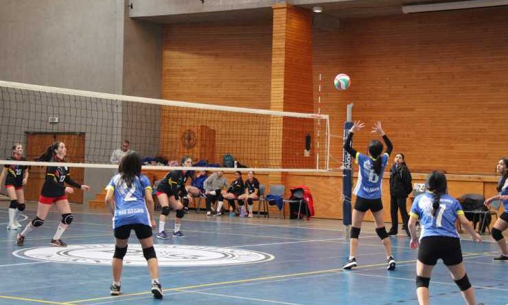 Osorno ganó el Campeonato Provincial de Vóleibol Sub 14 de los Juegos Deportivos Escolares