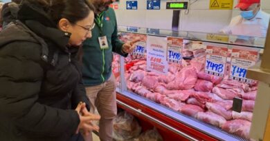Autoridades fiscalizan venta de carne bovina en carnicerías de Osorno