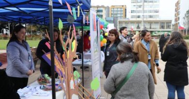 Feria acercó la salud mental a la comunidad en Plaza de Armas de Osorno