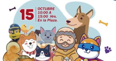 Jornada solidaria por los animales en Puerto Montt