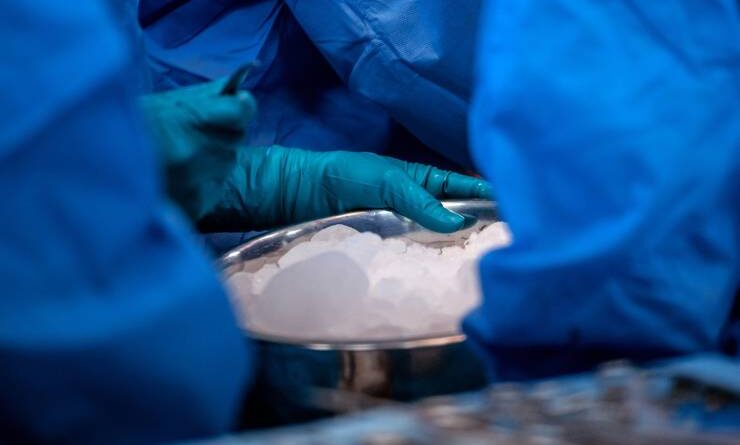 Se realiza 8vo procuramiento de órganos en Hospital Base de Osorno