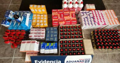 Aduana de Puerto Montt incauta contrabando de medicamentos veterinarios en Chaitén
